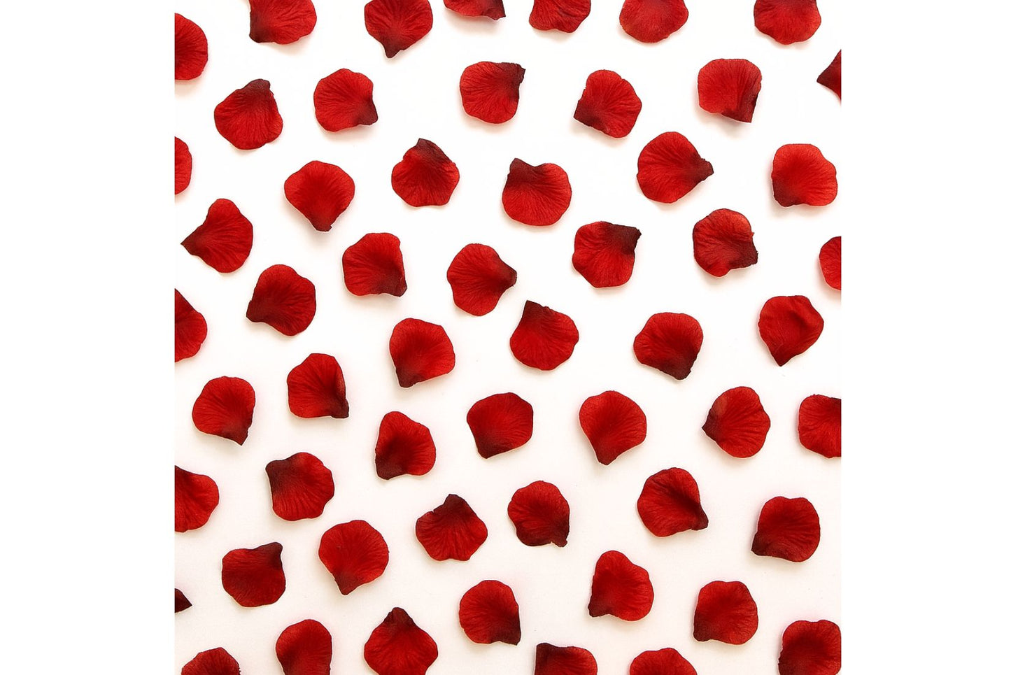 Red Flower Heart Proposal Package